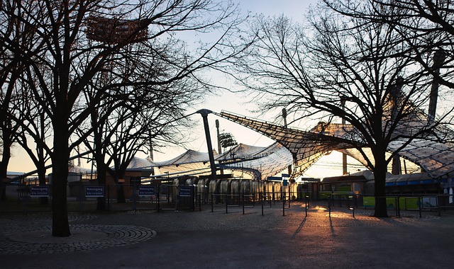 情的注脚 情的注脚