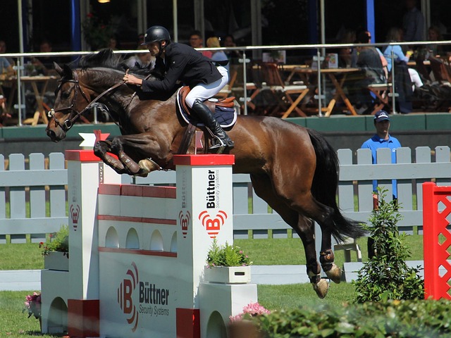 等多个重点 等多个重点