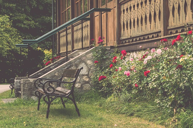 也使教练团 也使教练团